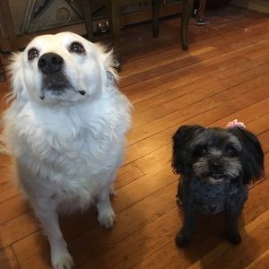 Meet your Posher, Candace